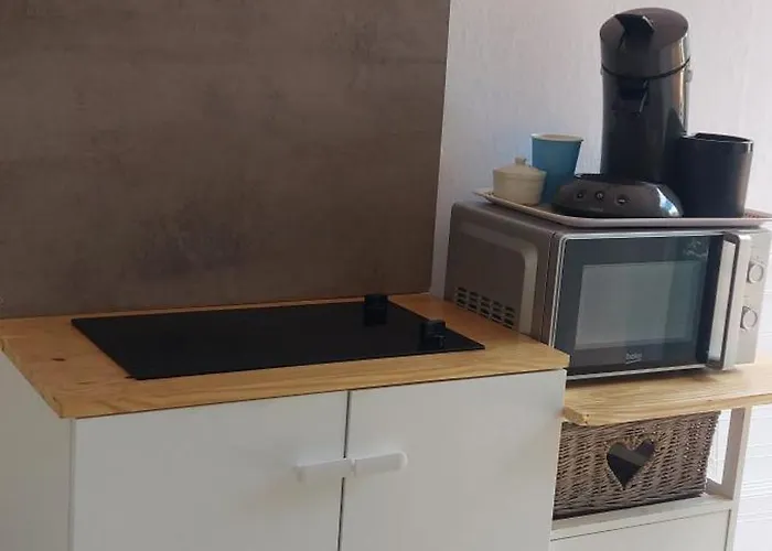 Studette Cadre Exceptionnel Tres Bien Situee 10 Mn Plages *