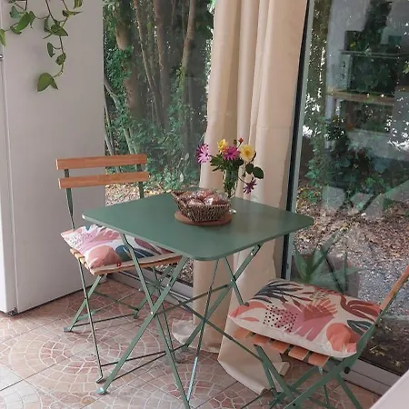 Studette Cadre Exceptionnel Tres Bien Situee 10 Mn Plages Appartement *